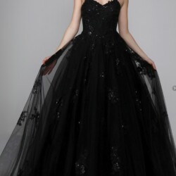 Black ballgown with lace overlay spotlight bridal wedding dresses