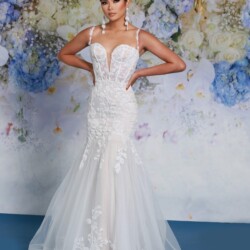 Lace Trumpet spotlight bridal wedding dresses