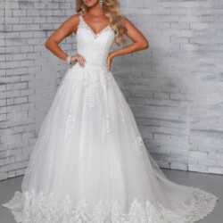Lace v-neck Ballgown spotlight bridal wedding dresses